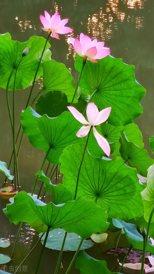 失眠+抑鬱症,患者崩潰大哭:如果時光倒流,我希望替她死 失眠+抑鬱症,患者崩潰大哭:如果時光倒流,我希望替她死