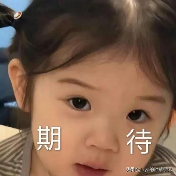衛衣 &plus; 半裙，衛衣 &plus; 靴子，今春照著穿