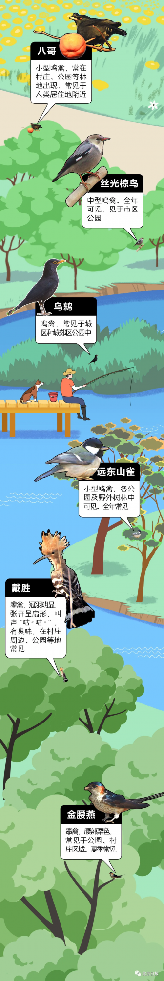 北 京 百 鳥 圖 鑑