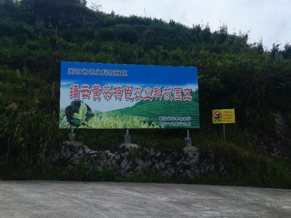 在深山的更深處，浙江農村都是別墅嗎？一一老婆的孃家