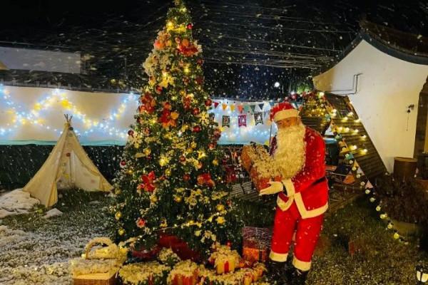 花房小院相映成趣，充滿童心ins風の親子民宿