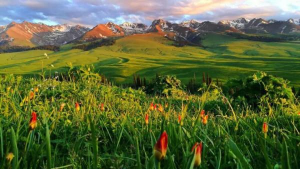 分享圖片——新疆那拉提草原