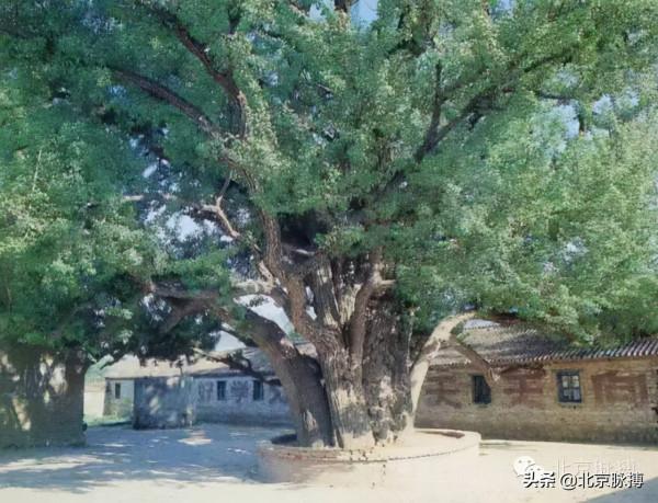 畫說北京丨曾經的大密雲