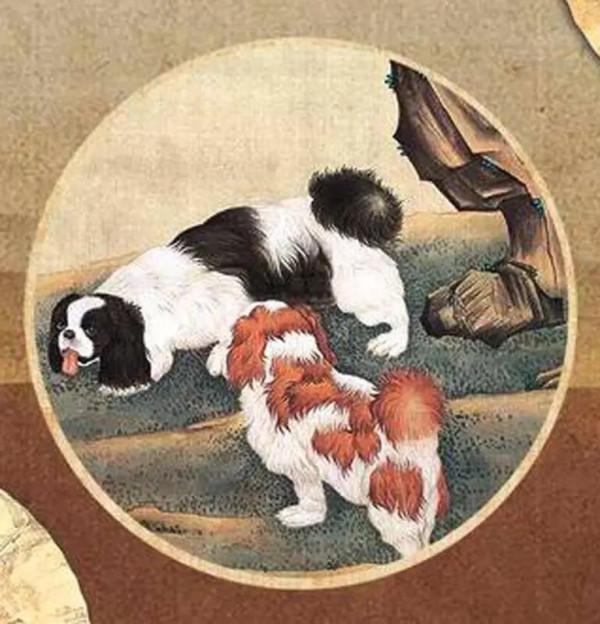 那些年，我在皇宮裡當一隻喵主子……