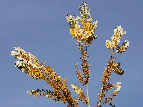 借錢之後那些沒完沒了的折騰（上）