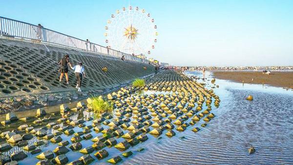 上海很美的大眾海灘，不要門票，車子免費停，螃蟹免費抓