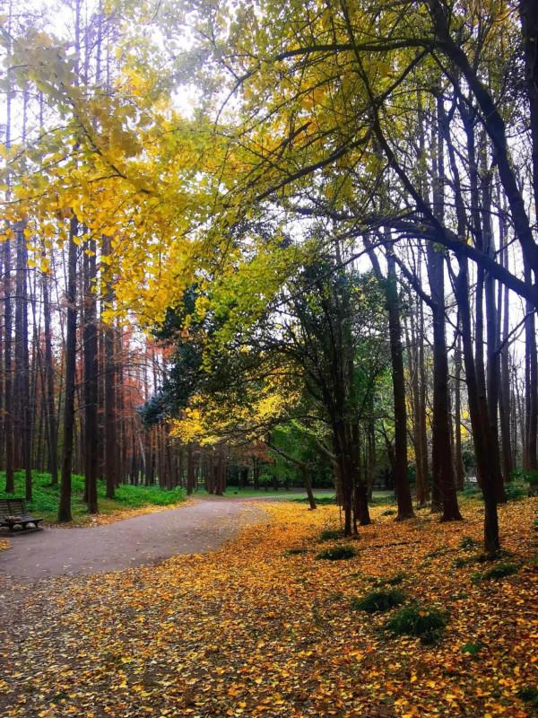 嘗秋正當時,錯過再等一年 嘗秋正當時,錯過再等一年