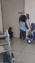 被貓咪嫌棄的人類幼崽