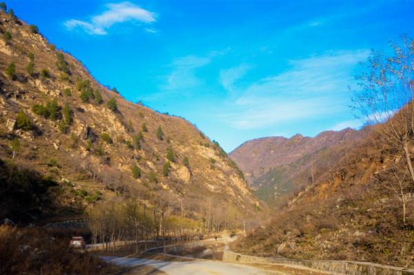 趣聞:泥石流衝翻礦車,司機爬樹求生,泥石流中救出一女子成女友 趣聞:泥石流衝翻礦車,司機爬樹求生,泥石流中救出一女子成女友