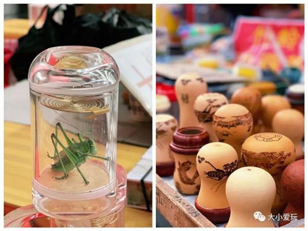 京城八大寶藏花市裡,藏著孩子最愛的植物園和水族館,冬日逛起來 京城八大寶藏花市裡,藏著孩子最愛的植物園和水族館,冬日逛起來