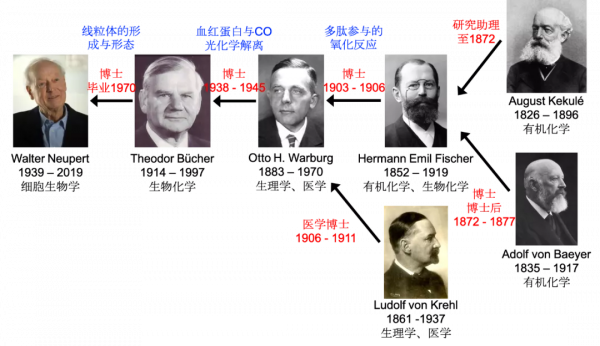 “諾獎值得”系列:蛋白質摺疊的分子伴侶誕生記 “諾獎值得”系列:蛋白質摺疊的分子伴侶誕生記