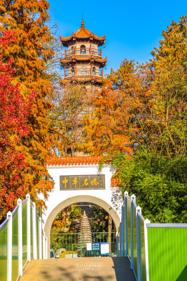 武漢人究竟多愜意?46萬平方米的城市公園猶如森林一般,景色醉人 武漢人究竟多愜意?46萬平方米的城市公園猶如森林一般,景色醉人