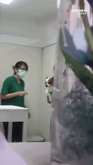 被貓咪嫌棄的人類幼崽