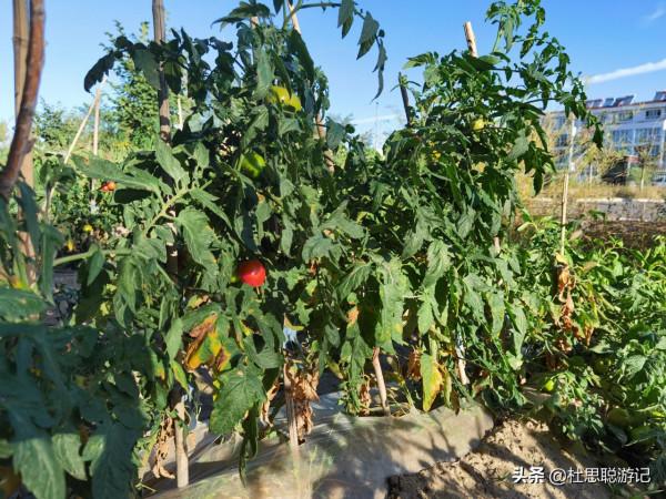 漢EV自駕新疆，大膽嘗試G7京新高速公路，服務區都沒有充電樁