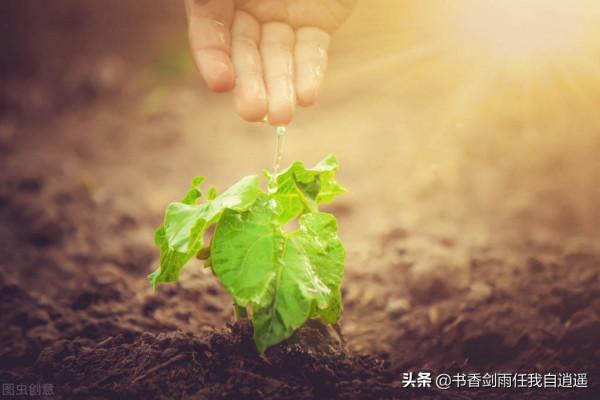 孩子,無論多難,請告訴自己,再堅持一下 孩子,無論多難,請告訴自己,再堅持一下