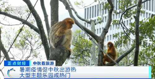 中秋流行滑雪?訂單暴漲!中秋出行熱門景區TOP10出爐 中秋流行滑雪?訂單暴漲!中秋出行熱門景區TOP10出爐