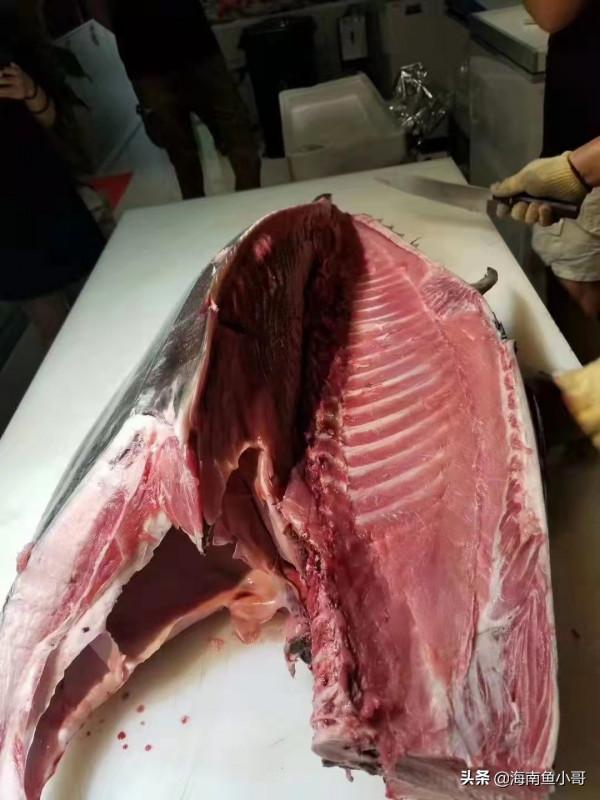 金槍魚你吃過嗎？海南魚小哥給您介紹