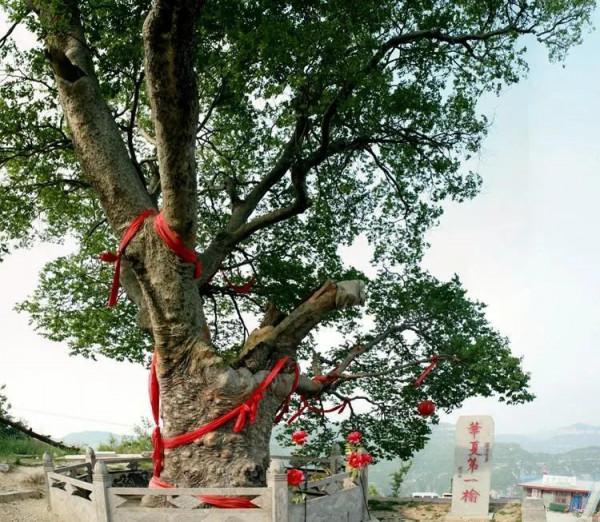 早知爐峰能觀日，何必奔波去泰山！一處可觀日出日落的好地方
