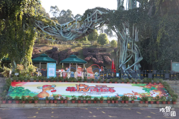 春節嗨玩預警！雲南野生動物園&OpenCurlyDoubleQuote;萌虎&rdquo;陪你賀新年，2022虎虎生威