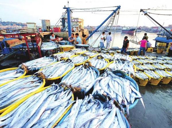 1996年一艘遠洋漁船上,船員怒殺船長,引得韓國總統親自下場辯護 1996年一艘遠洋漁船上,船員怒殺船長,引得韓國總統親自下場辯護