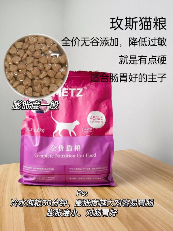 泡水看出貓糧好壞！別說不會選貓糧了