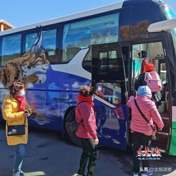長白山北景區10輛野生動物塗鴉巴士正式上線運營,迅速成為遊客眼中一道靚麗風景 長白山北景區10輛野生動物塗鴉巴士正式上線運營,迅速成為遊客眼中一道靚麗風景