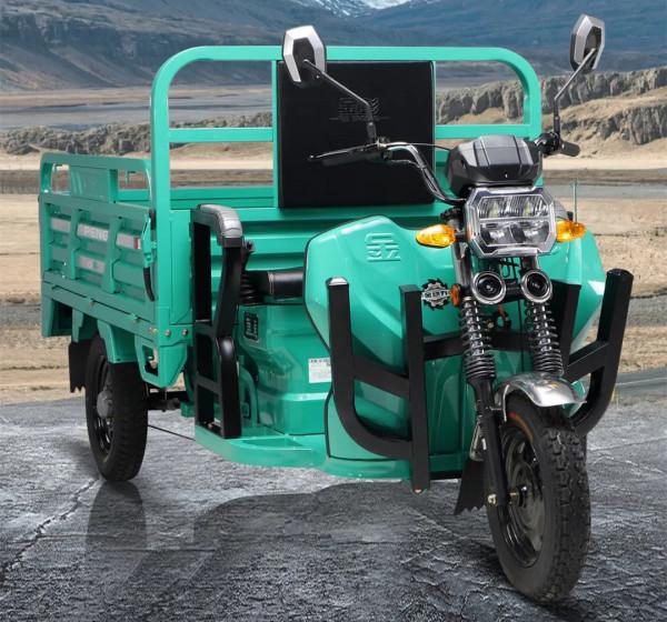 這兩款新電動三輪車,動力強勁,適合載重貨騎行 這兩款新電動三輪車,動力強勁,適合載重貨騎行