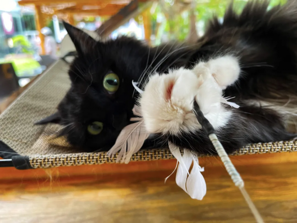 小甜妞兒喜歡硬枕頭