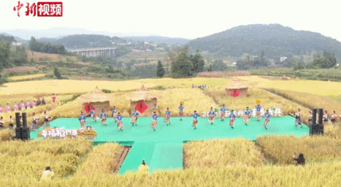 億萬中國農民,節日快樂 億萬中國農民,節日快樂