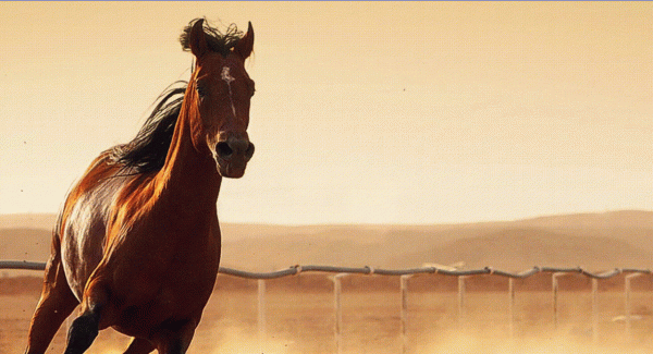 Windows 維護小手冊-5「20個效率小工具」