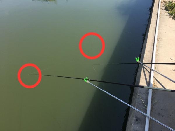 「釣技分享」走水嚴重教你幾個小技巧，讓你漁獲爆滿