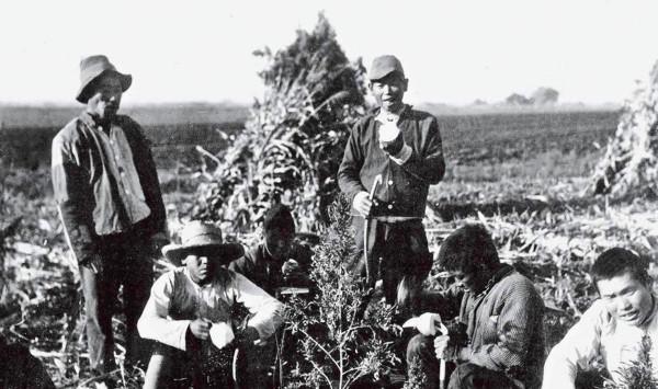 日本女兵主動加入解放軍,在中國服役7年,回國後晚年很淒涼 日本女兵主動加入解放軍,在中國服役7年,回國後晚年很淒涼