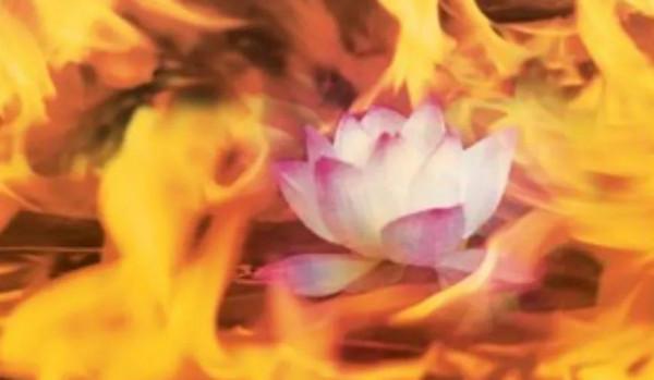 神話故事:伏羲女媧化形,引天道祝賀,花開九品,聖人之資 神話故事:伏羲女媧化形,引天道祝賀,花開九品,聖人之資