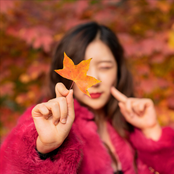 孫廣榮:秋日思懷 同學聚會 冷漠的《這條街》| 郭榮喜:秋葉頌 孫廣榮:秋日思懷 同學聚會 冷漠的《這條街》| 郭榮喜:秋葉頌