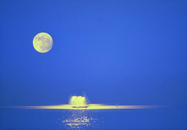 仲秋詠懷 山林子 慧商 自然智慧詩