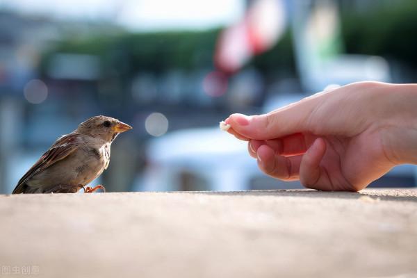 重陽節給老年朋友：好心態能延壽7.5年，做好這6件事很重要