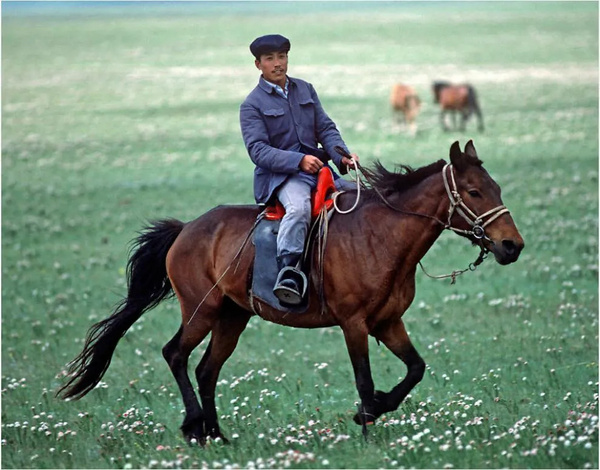 滿滿的感動，每一張老照片都是故事，美好的八十年代