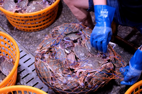 最近做夢都夢到吃海鮮，馬上跑到寧波吃個痛快