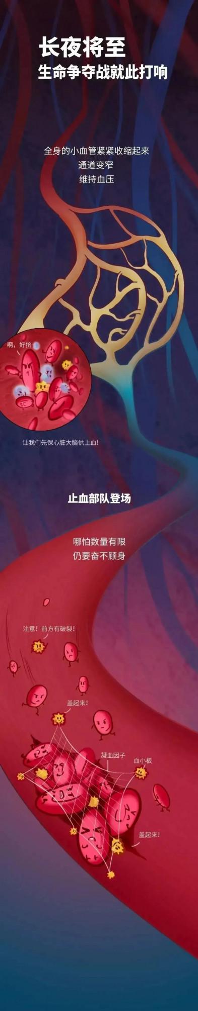 震撼!請你一定要記得,有一具永不拋棄你的身體 震撼!請你一定要記得,有一具永不拋棄你的身體