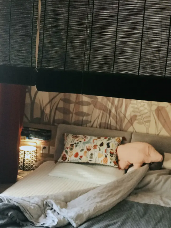 家裡有片雨林是什麼樣的體驗？帶你走進我的室內花園