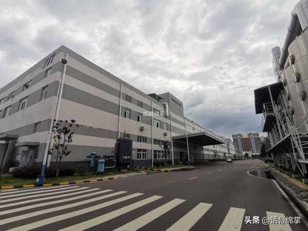 “碳”路者丨長虹空調：0.1度精確控溫 爭做行業能效“領跑者”