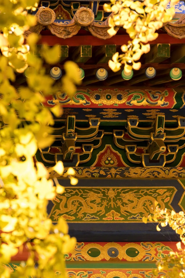 在北京過個秋天，立刻退掉了去騰衝的機票