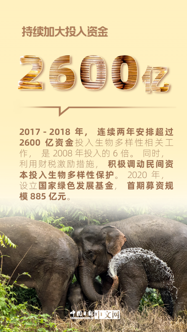 數說|保護生物多樣性 中國這樣做 數說|保護生物多樣性 中國這樣做