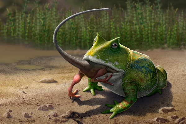 少了誰，地球都還是一樣轉：幾種滅絕了的大型生物