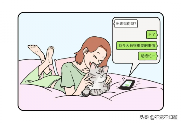 養貓前後對比，你是第幾個？