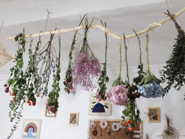 乾花晾制教程 乾花晾制教程