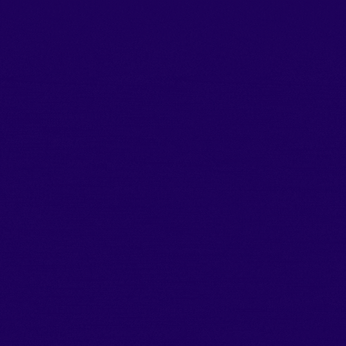 Bellingcat 在他們的調查中使用了哪些軟體和資料庫？