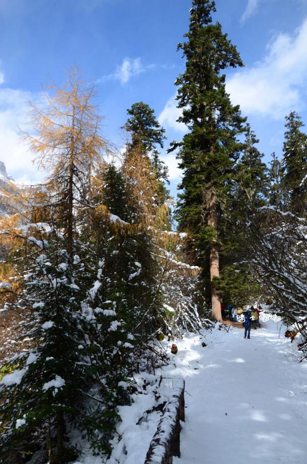 大美川西系列1-畢棚溝 桃坪羌寨 甘堡藏寨 兩日遊攻略