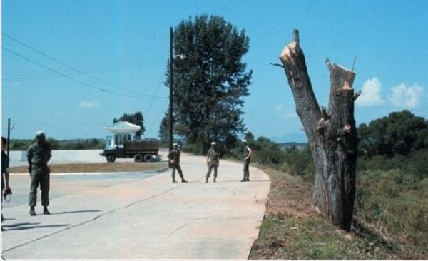 1976年，美國執意要砍掉一棵白楊樹，險些引發第二次朝鮮戰爭