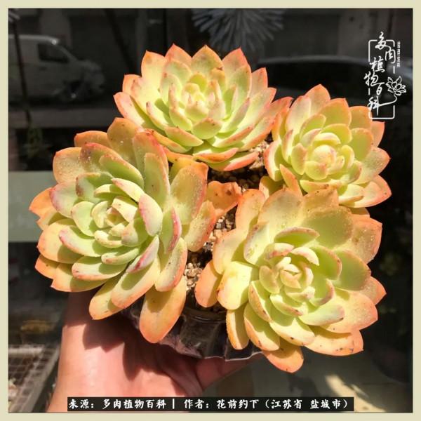 你儘管善良,福報都在路上 你儘管善良,福報都在路上